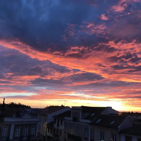 Imowemo - Ovarinha Girassol