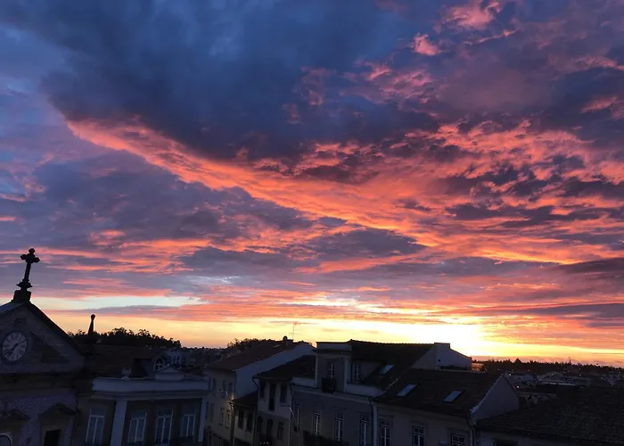 Imowemo - Ovarinha Girassol